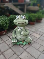 Фигура Жаба 1+