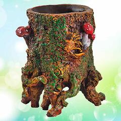 Цветник Пенек с грибами
