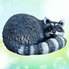 Енот