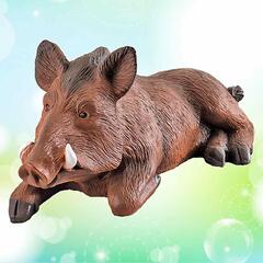 Кабан лежачий