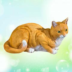 Кошка рыжая