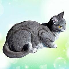 Кошка серая