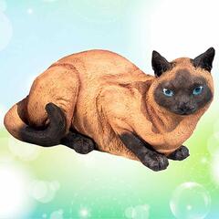 Кошка сиамская