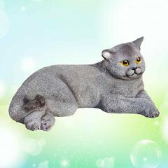 Кот британский