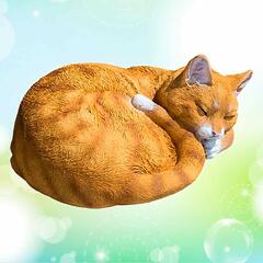 Спящий кот калачиком рыжий