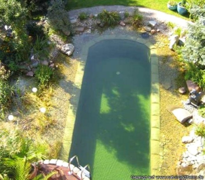 cl water natural pool