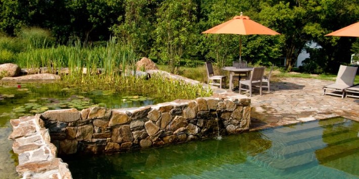 natural pond