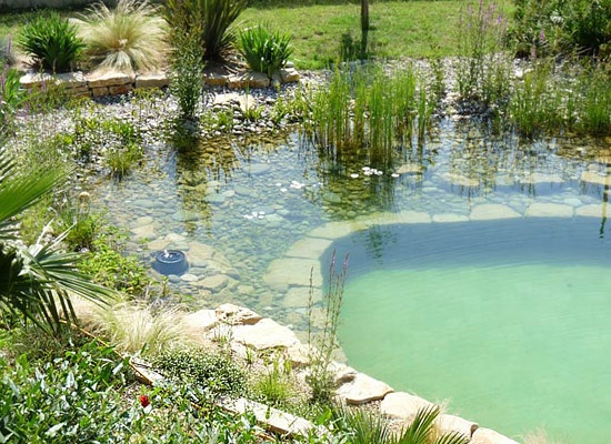 Natural-Swimming-Pool-Ecological-4