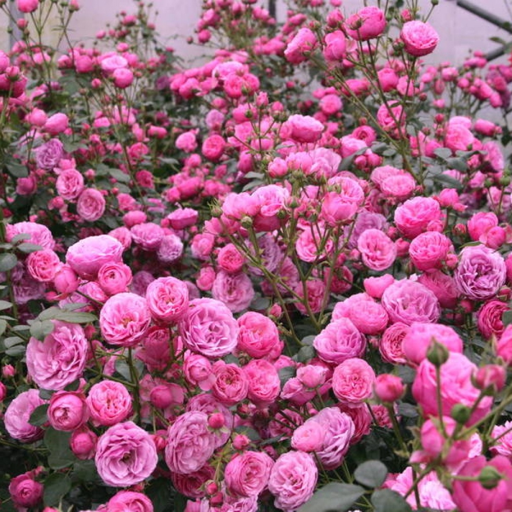 48dbb58b7f084c5a65022bee17e3f3aa
