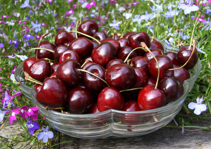 delicious-cherries-700x494