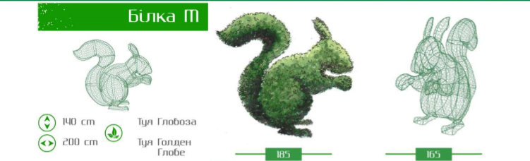 белка м