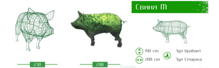 свиня м