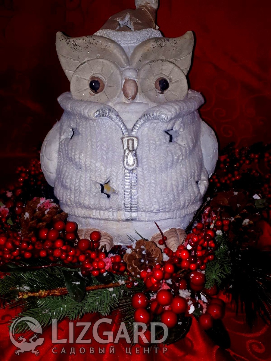 зображення_viber_2020-11-22_16-54-00