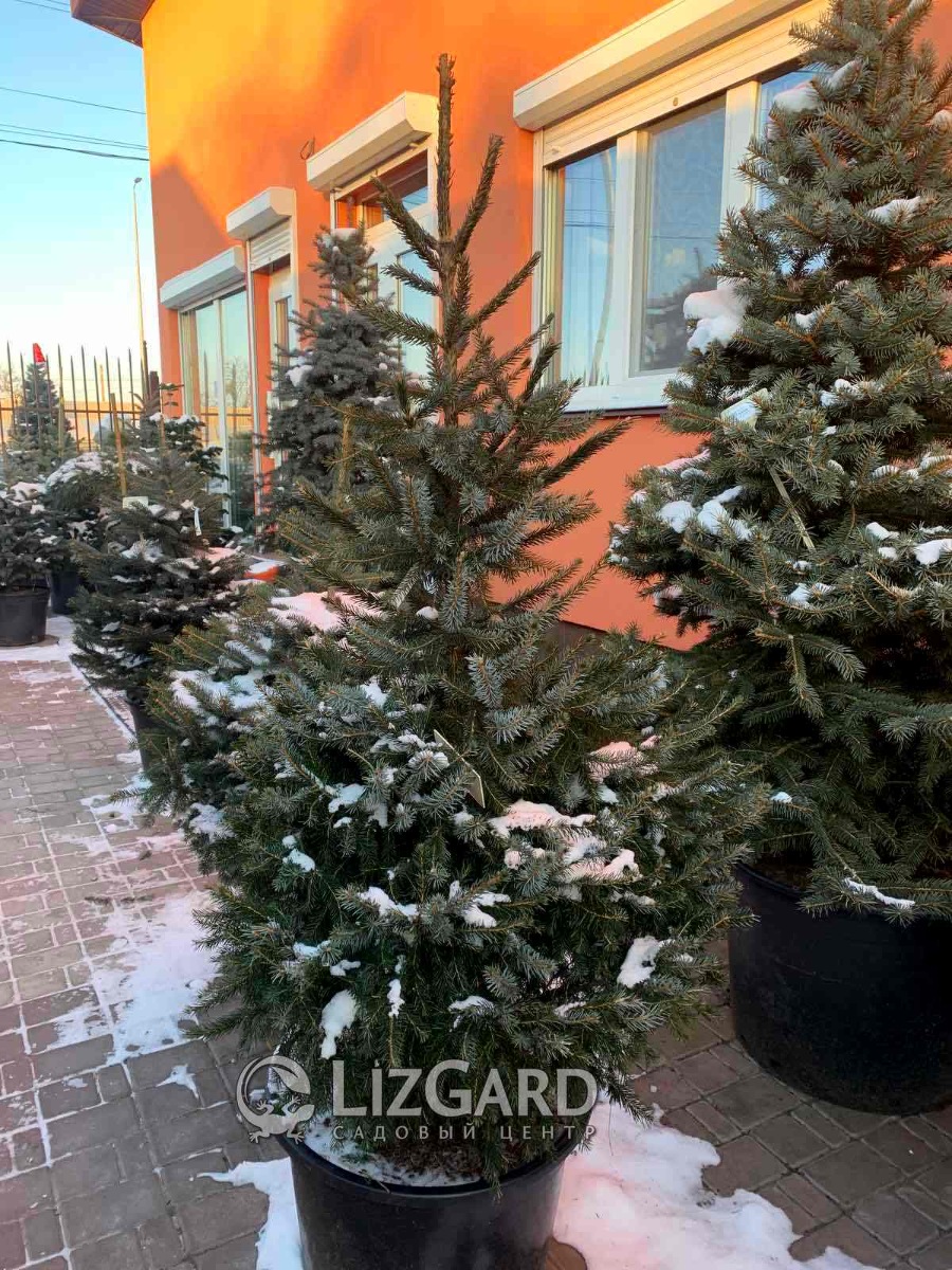 зображення_viber_2021-12-23_15-08-09-951