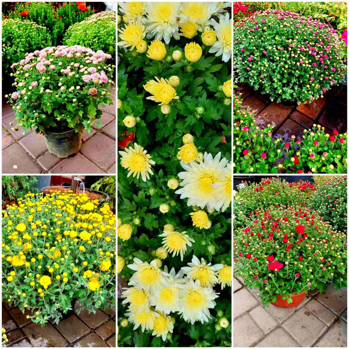 зображення_viber_2021-09-15_09-25-48-065