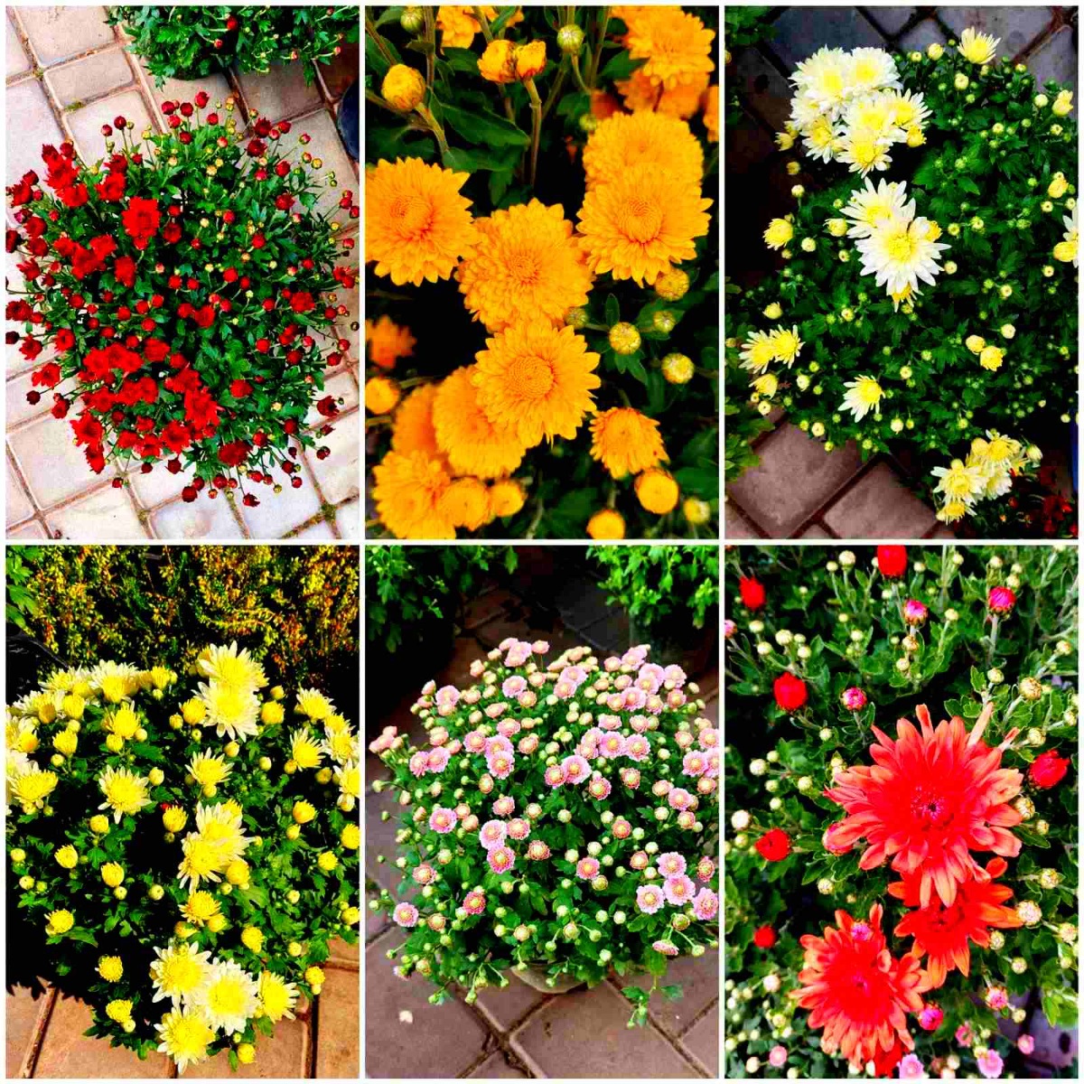 зображення_viber_2021-09-15_09-25-48-746