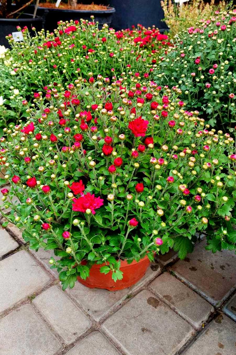 зображення_viber_2021-09-15_09-26-39-726
