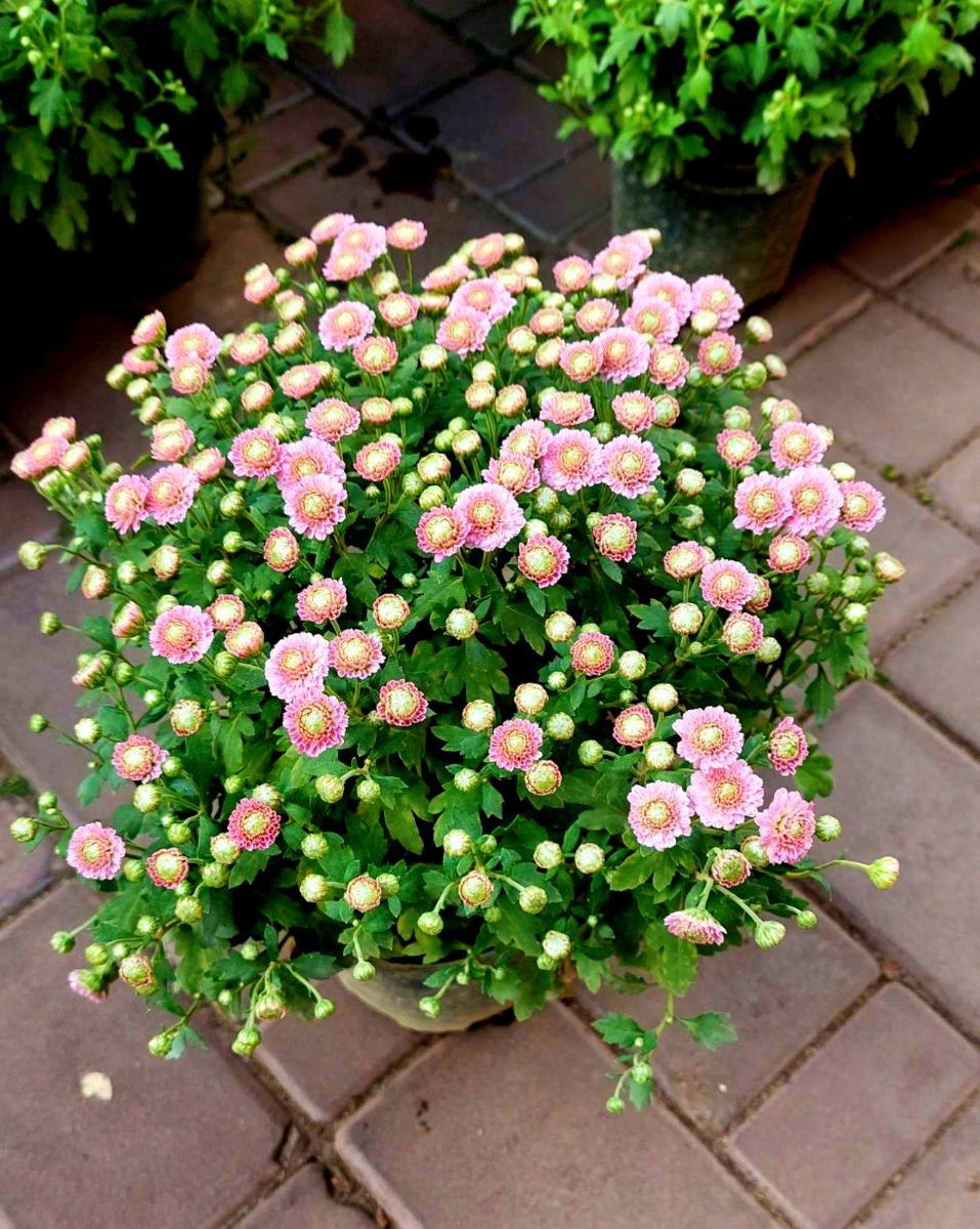 зображення_viber_2021-09-15_09-26-44-386