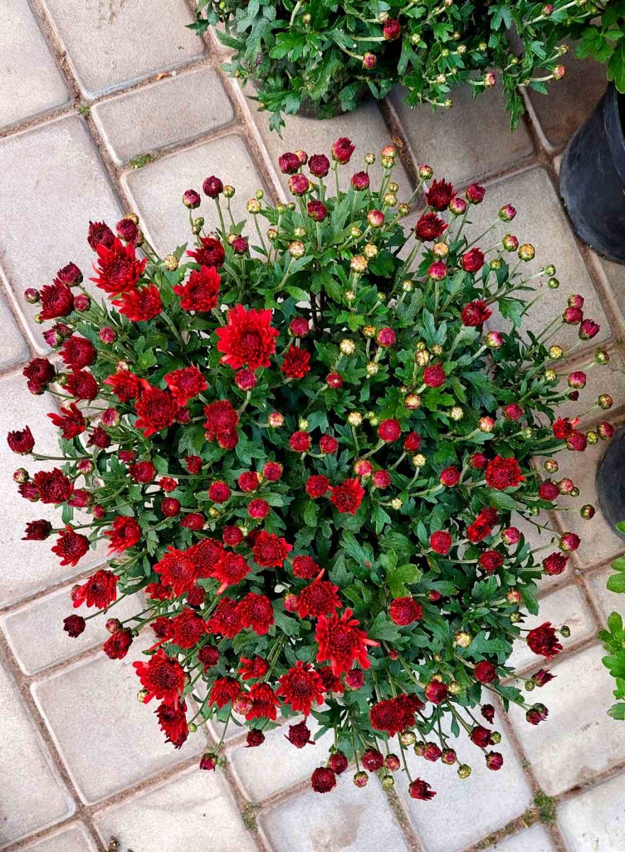 зображення_viber_2021-09-15_09-26-49-546