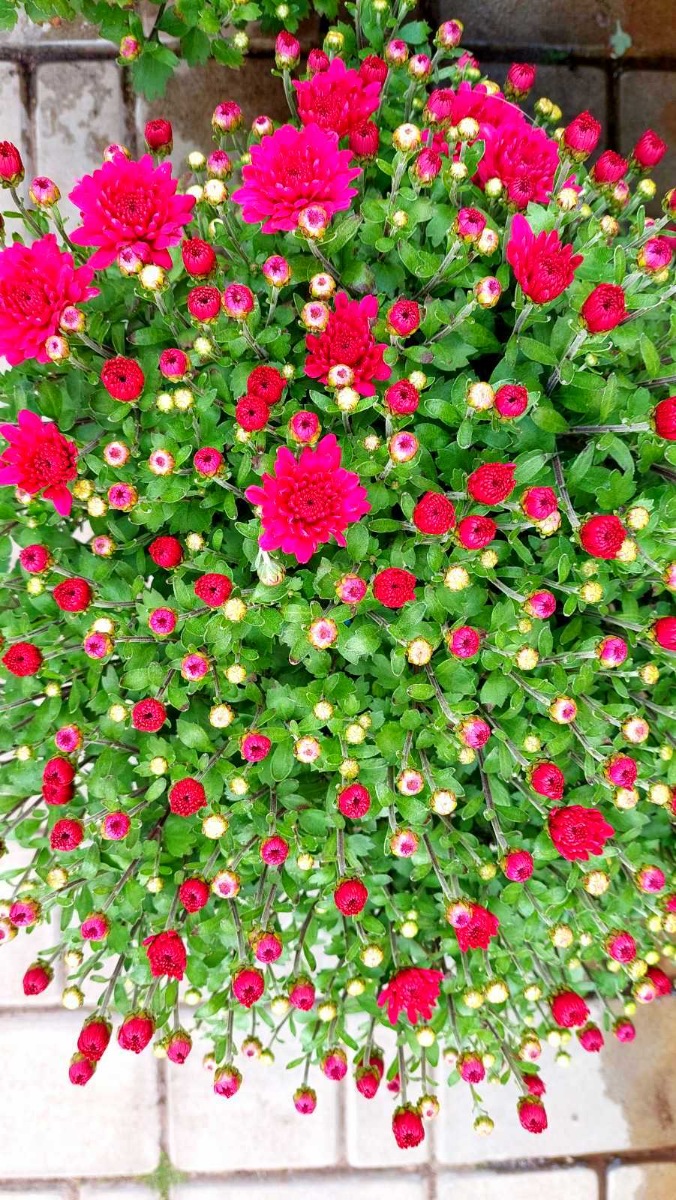 зображення_viber_2021-09-15_09-26-49-662