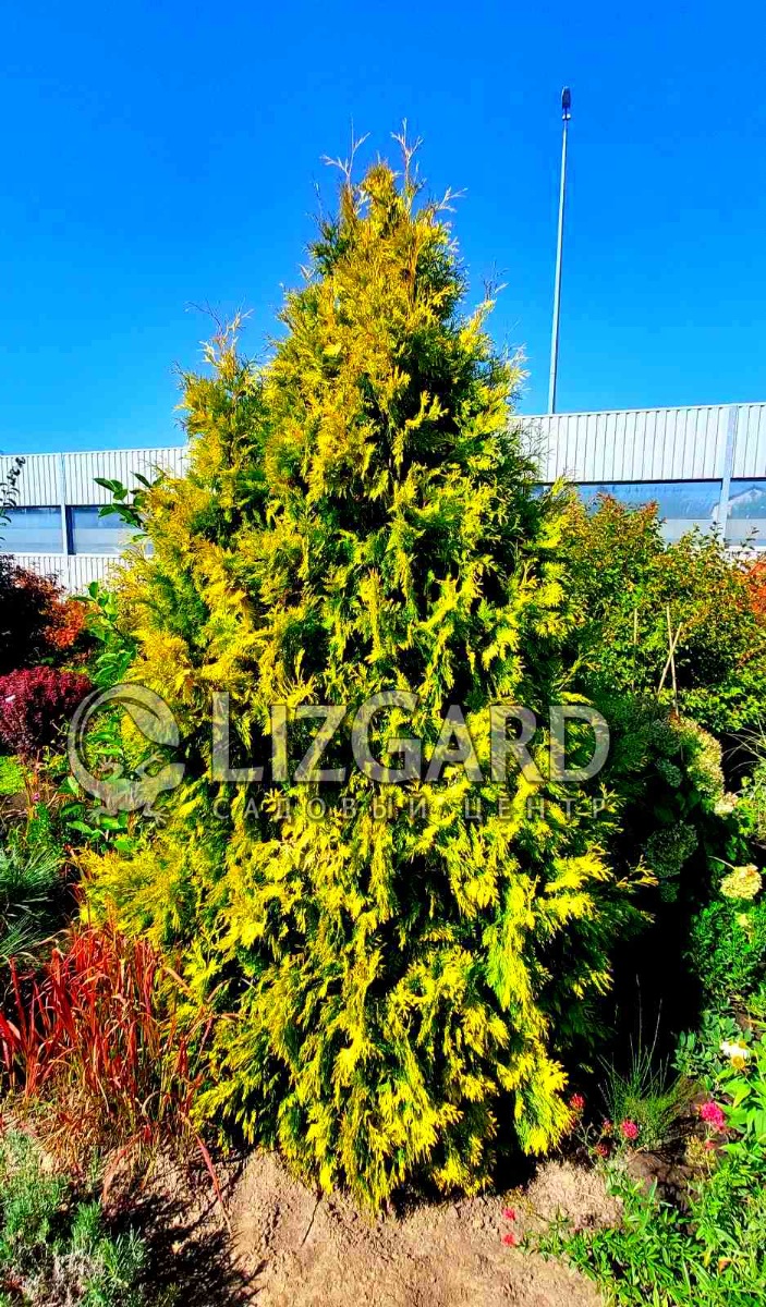 зображення_viber_2021-09-10_15-04-12-876