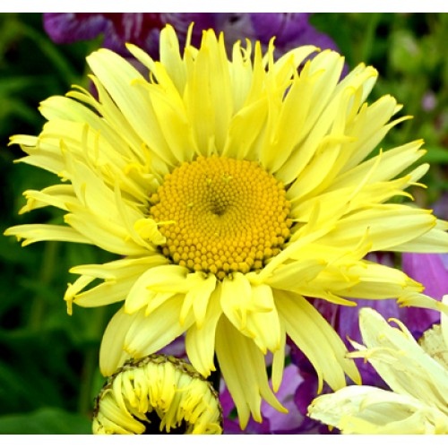 bb585044a16c9de68b522e257843c915