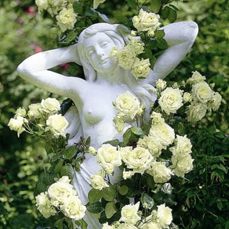 RoseElfe01