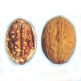 bukovin2